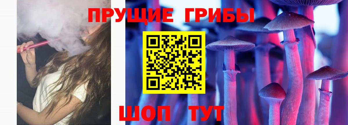 Печора  Псилоцибиновые грибы Psilocybe  Вход с VPN 